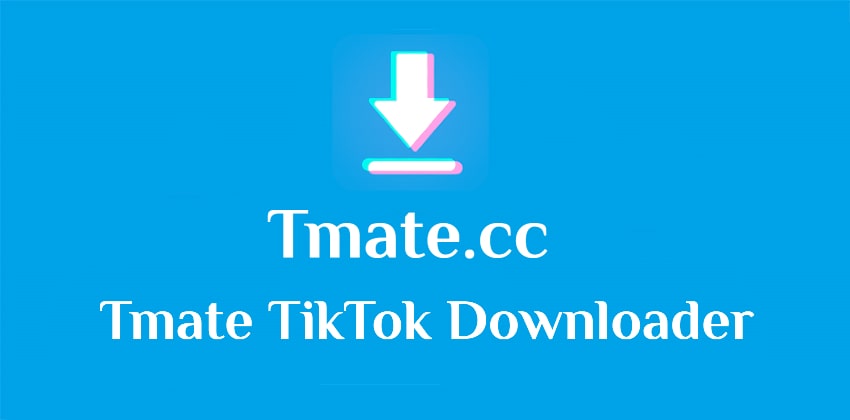 Download video tiktok, Tiktok downloader no Watermark by Tmate
